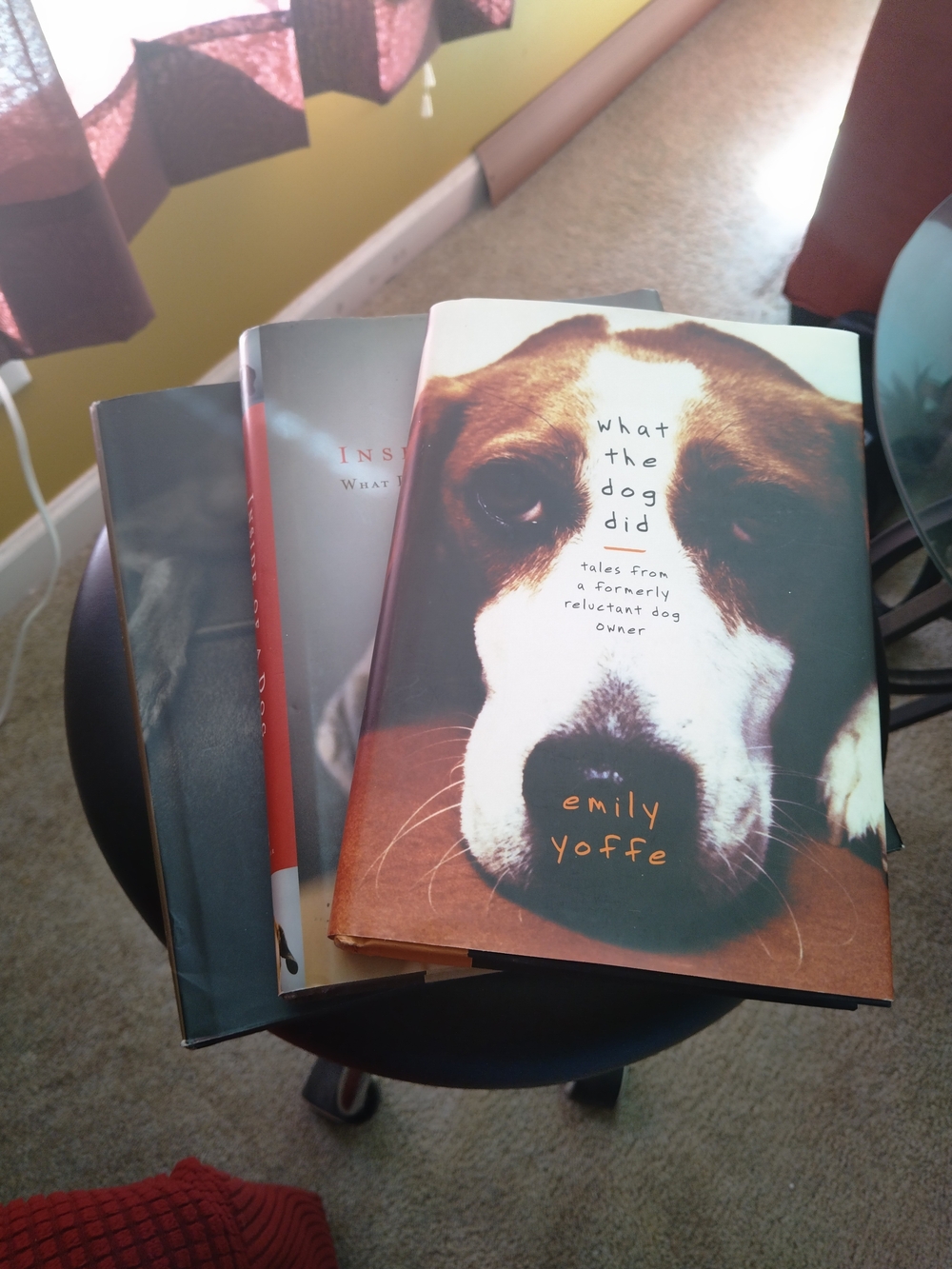 (3) Hardback Dog Books...